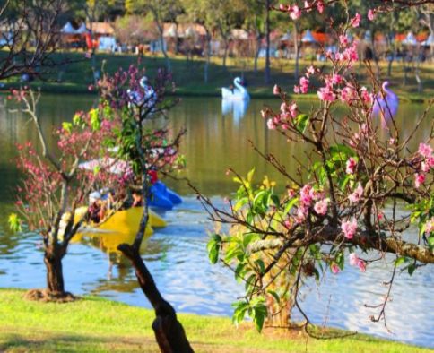 COMTUR - Conselho Municipal de Turismo de Garça, emite conclusão da Pesquisa de Percepção do Turismo local.